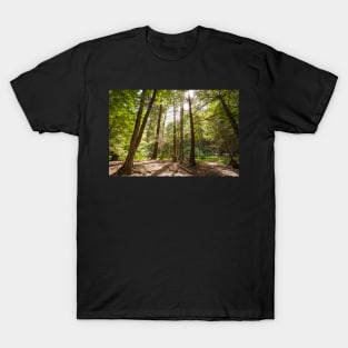 Gorge Trail T-Shirt